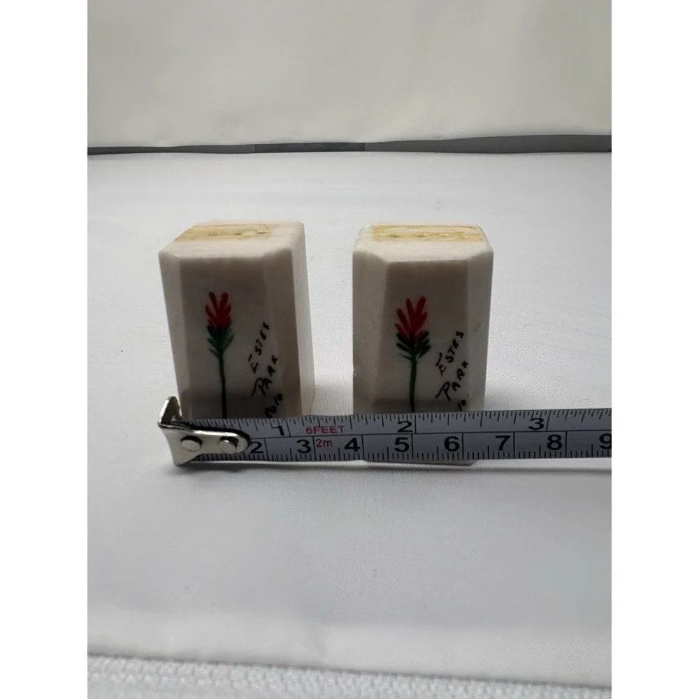Vintage Colorado Salt Pepper Shakers Hand Painted Floral Stone No Stoppers Tape
